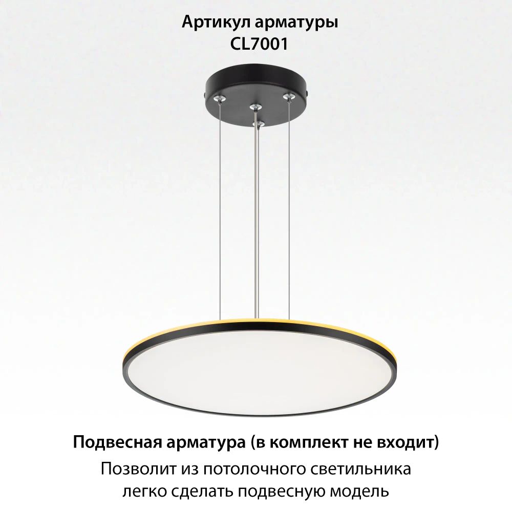 Citilux NORMA CL749601 LED RGB Светильник с пультом Чёрный