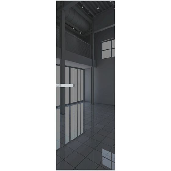 Скрытая алюминиевая дверь Invisible 1AGN зеркало grey
