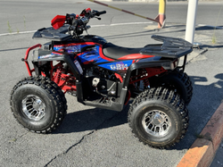 Квадроцикл GBM MAVERICK 222 NEW