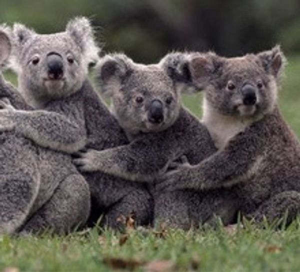 Скидки в «Единороге» на кооперативные игры!