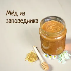 Мед из заповедника