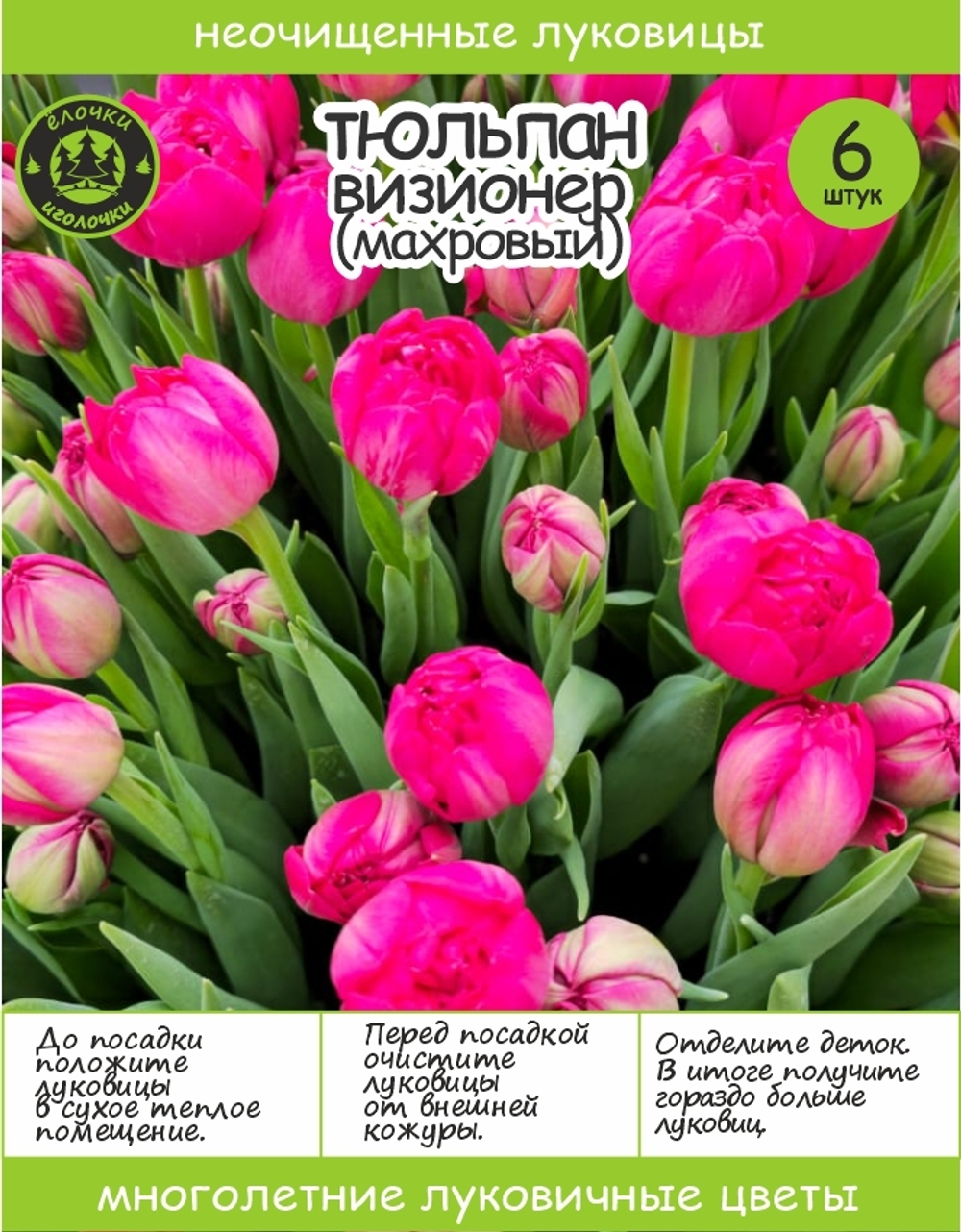 Тюльпан Луковица, Визионер, 6+шт