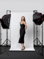 Комплект импульсного света Raylab Axio IV 250 Start Kit