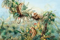 Коллекция It`s Jungle