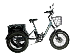 Электрический трицикл фэтбайк E-motions Panda 20 (750W 15Ah)