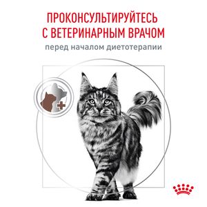 Корм для кошек, Royal Canin GASTROINTESTINAL Moderate Calorie GIM35 Feline, при панкреатите и нарушениях пищеварения