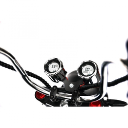 Электроскутер Skyboard Chopper 4000 Harrow (Elbrus) Trike