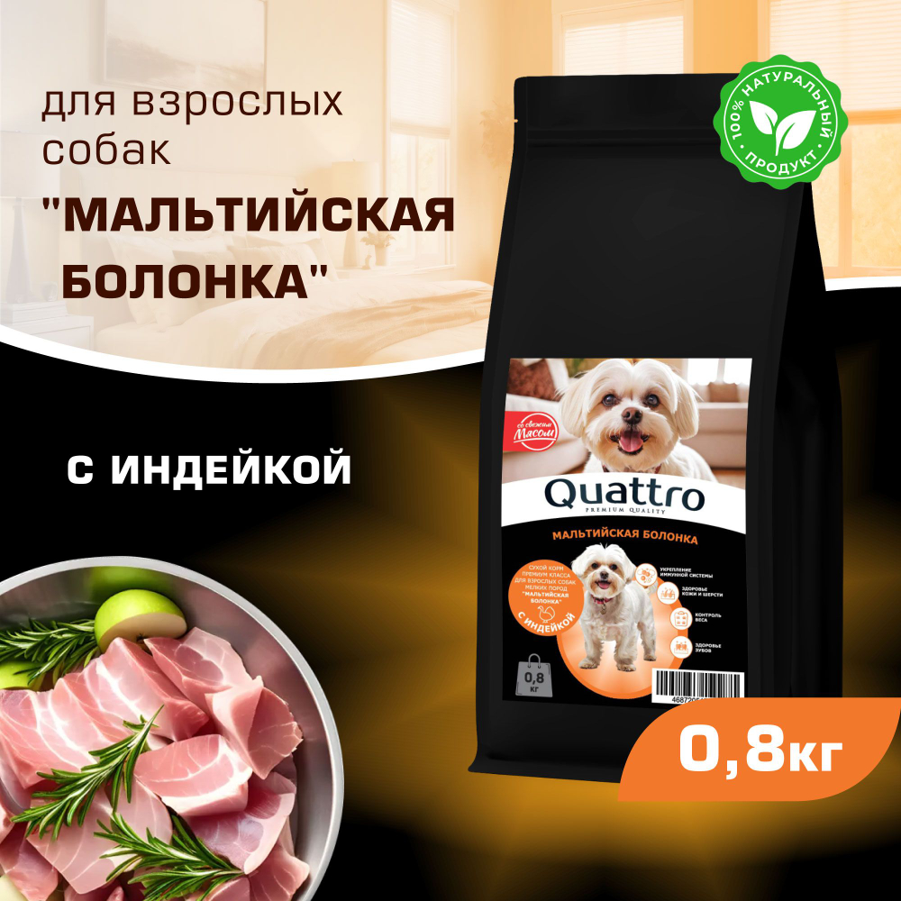 Корм сухой для взрослых собак породы Мальтийская болонка, с индейкой, 800 гр, QUATTRO