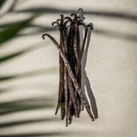 Ванильный экстракт, паста, ванилин и ванильный сахар