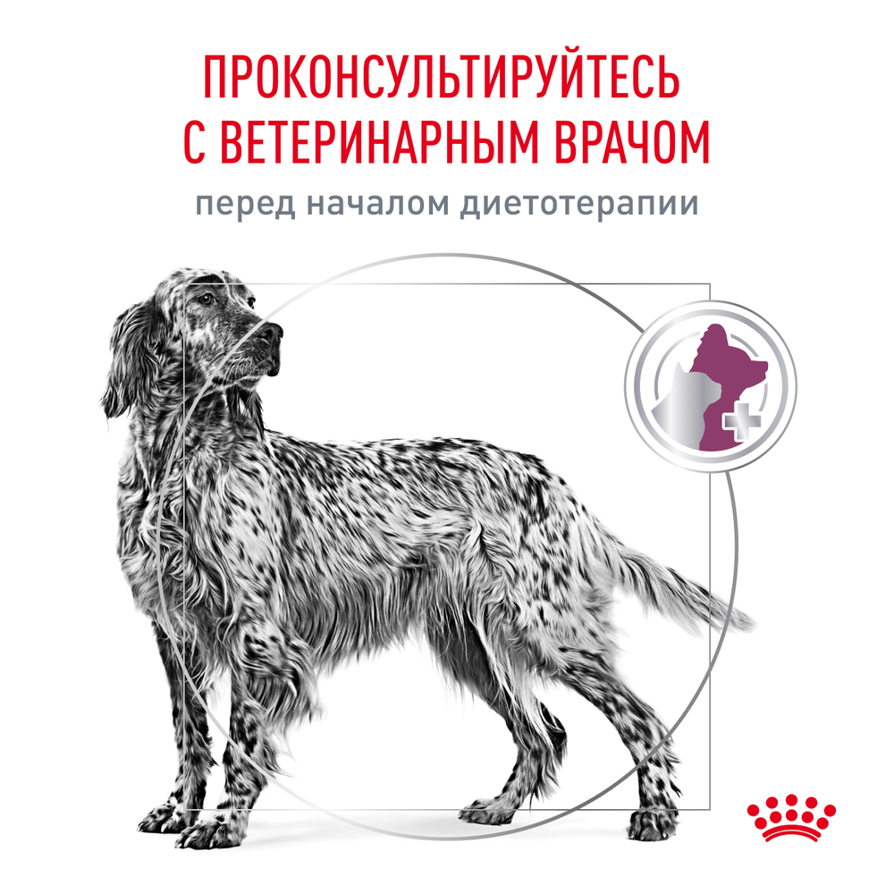 ROYAL CANIN Renal Диетический корм для собак при хронической почечной недостаточности, 2 кг