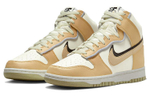Кроссовки Nike Dunk Retro Se "85"