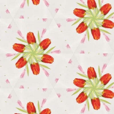 Красные тюльпаны