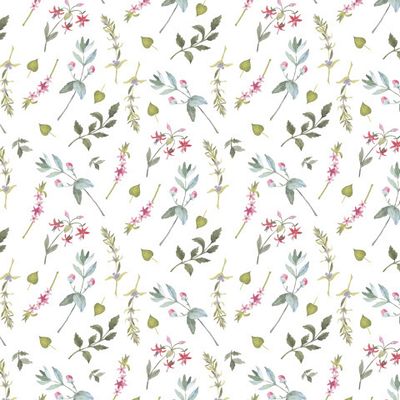 Орнамент из розовых полевых цветов и листьев