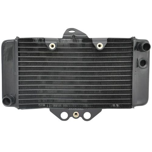Радиатор для Honda VTR250 97-08