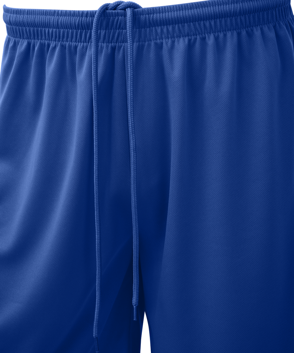 Шорты баскетбольные Camp Basic, синий