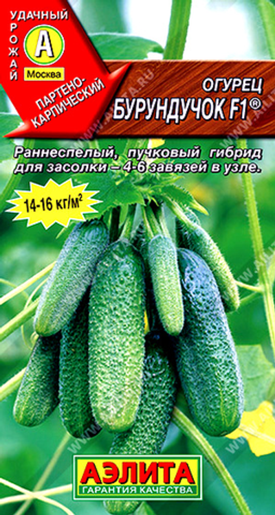 Огурец Бурундучок F1 ®        10 сем