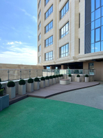 5.23. Искусственные туи в кашпо для ЖК «Development Plaza»