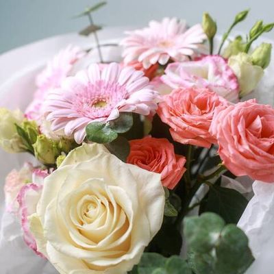 "Палитра заката"