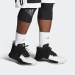 Кроссовки Adidas D Lillard 5Sport Performance Dame 5