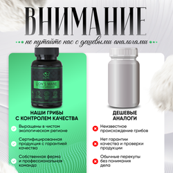 Ежовик гребенчатый, ежевик lions mane, капсулы 120 шт.
