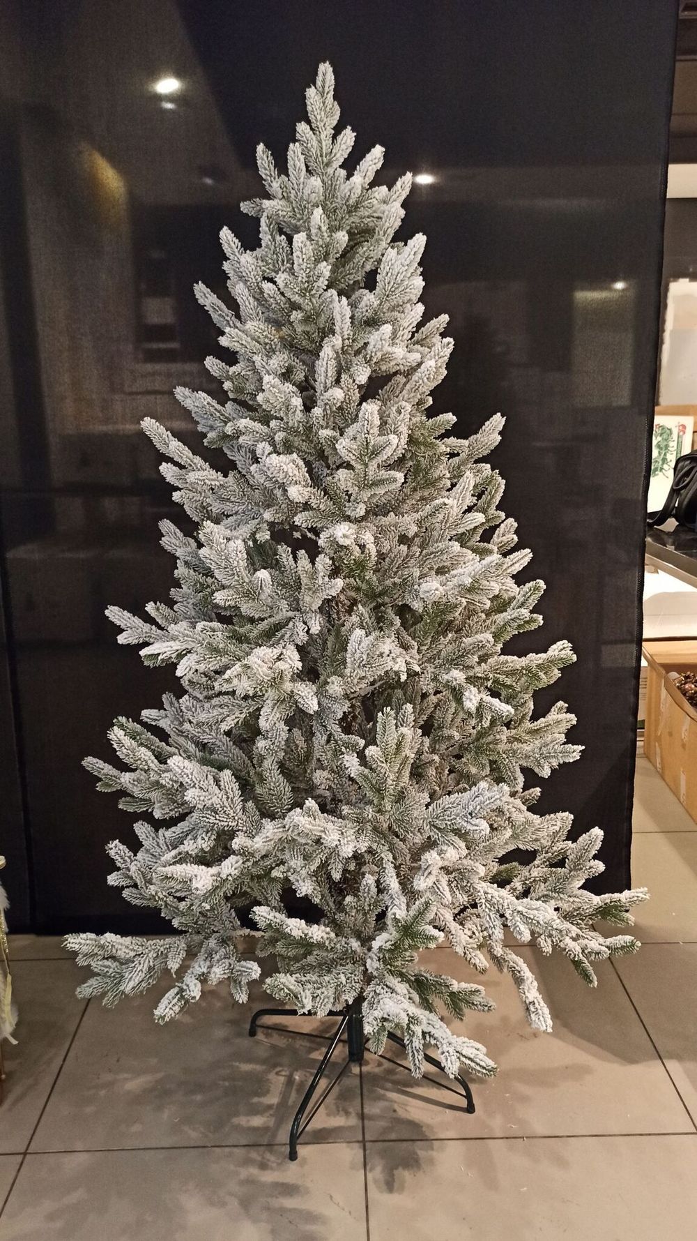 Ель Заснеженная «Нордман» (Литая хвоя) 240 см / 2,4 м