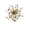 Настенный светильник Crystal Lux GARDEN AP-PL3 D400 GOLD