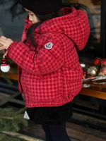 Пуховик Moncler, арт. 466627001