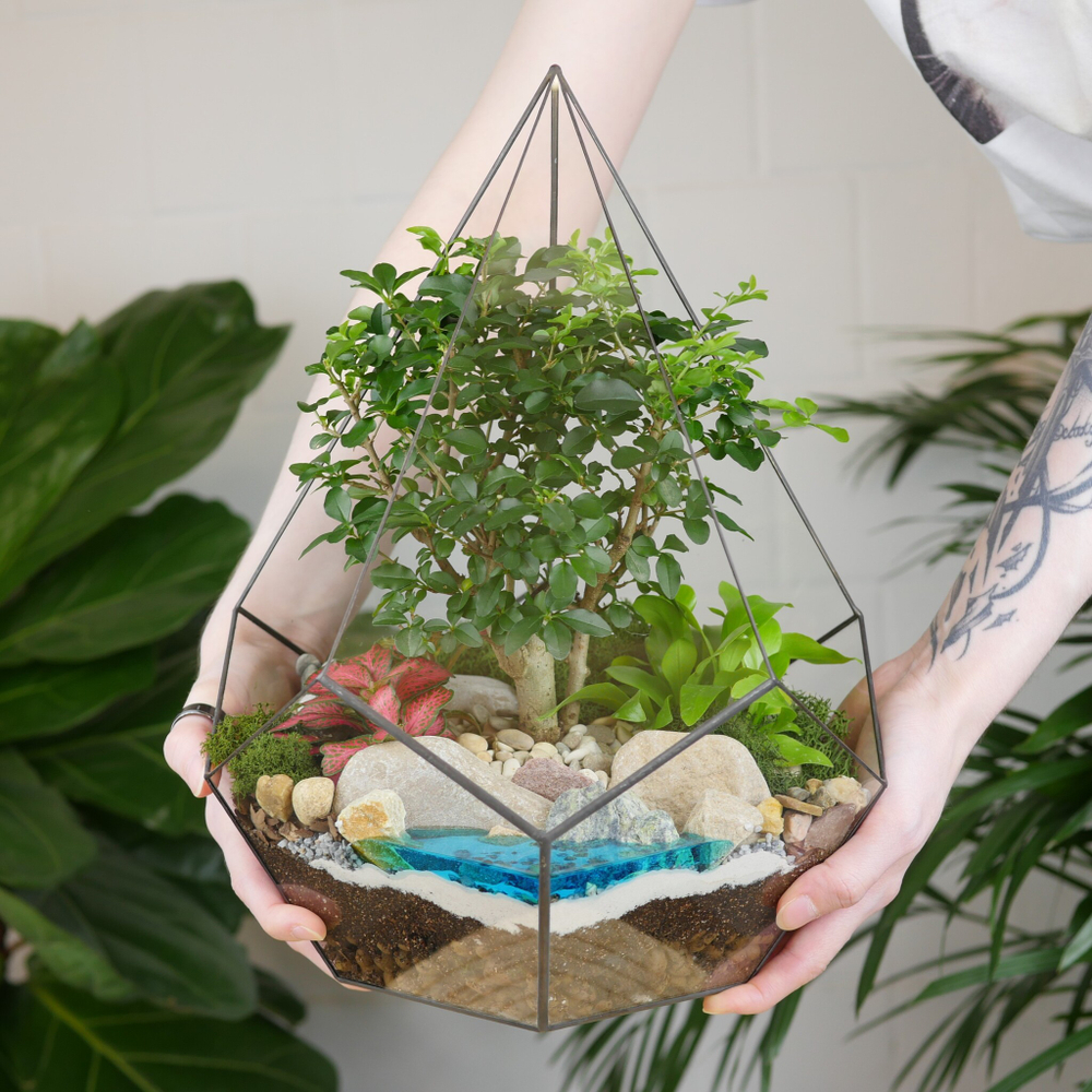 Готовый флорариум с бонсай Капля с озером