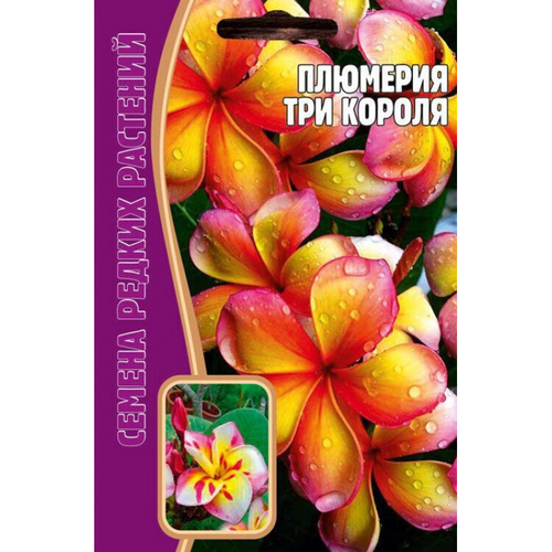 Плюмерия Три короля