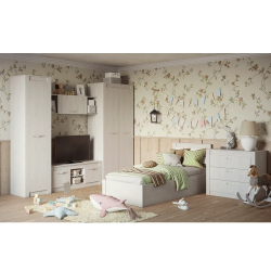 Шкаф Монако ШК-37