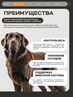 Корм сухой для взрослых собак породы Ньюфаундленд, премиум полнорационный комплекс, с индейкой, 12 кг, QUATTRO