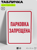 Табличка для парковки "Парковка запрещена", для дома, офиса, организаций, 40х30 см, Silver Plane x Айдентика Технолоджи