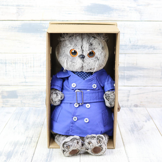 Кот Басик в плаще