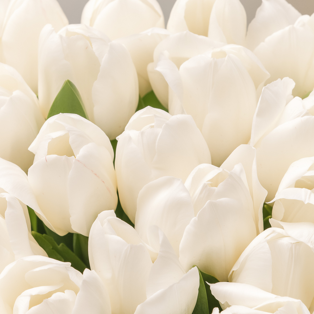 Моно- букет (цвет нежности)