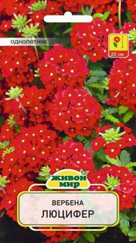 Bepбeнa "ЖМ. Люцифep" 0,1г., Польша.