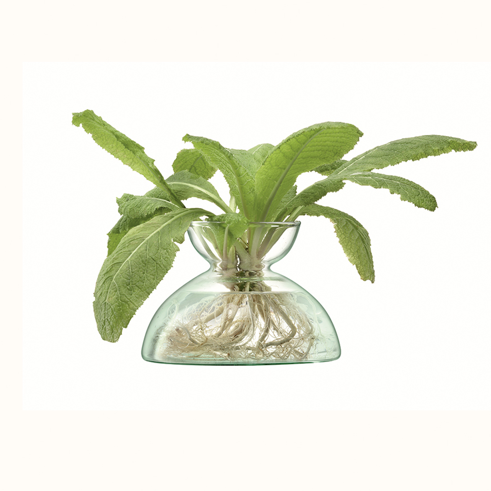 Ваза canopy, 9,5 см