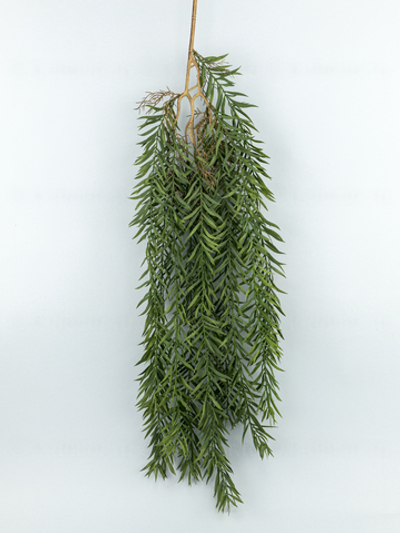 Ампельный вереск Арес