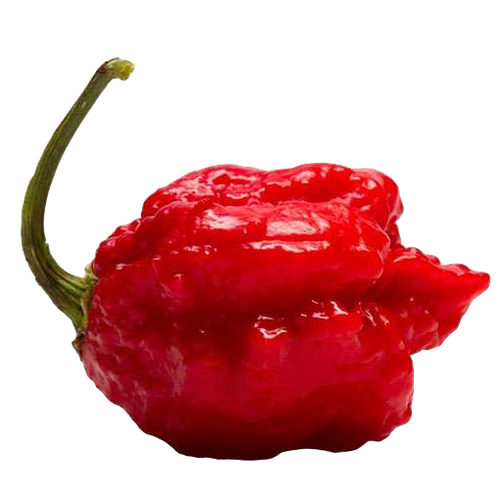 Каролина Рипер (Carolina Reaper) в ассортименте