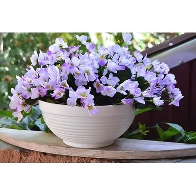 Цветочный горшок-миска Парма, 2л, D20, белая