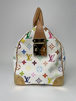 Сумка Louis Vuitton Speedy 30 Multicolor