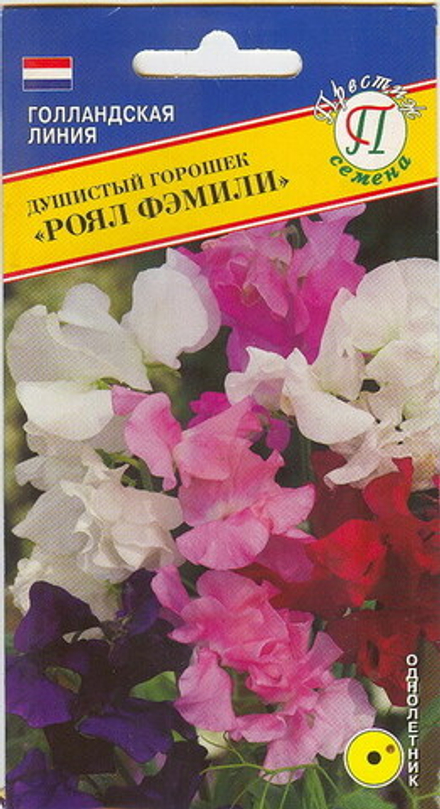 Душистый горошек Роял фэмили Престиж