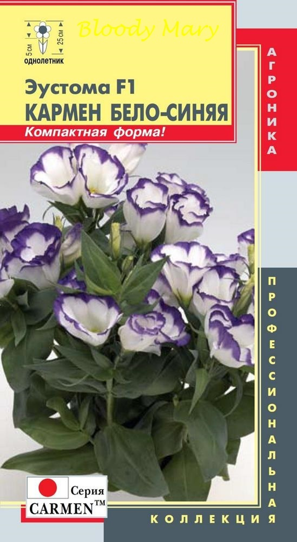 Эустома Кармен бело-синяя F1