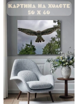 Картина на стену 40 X 50 Сова