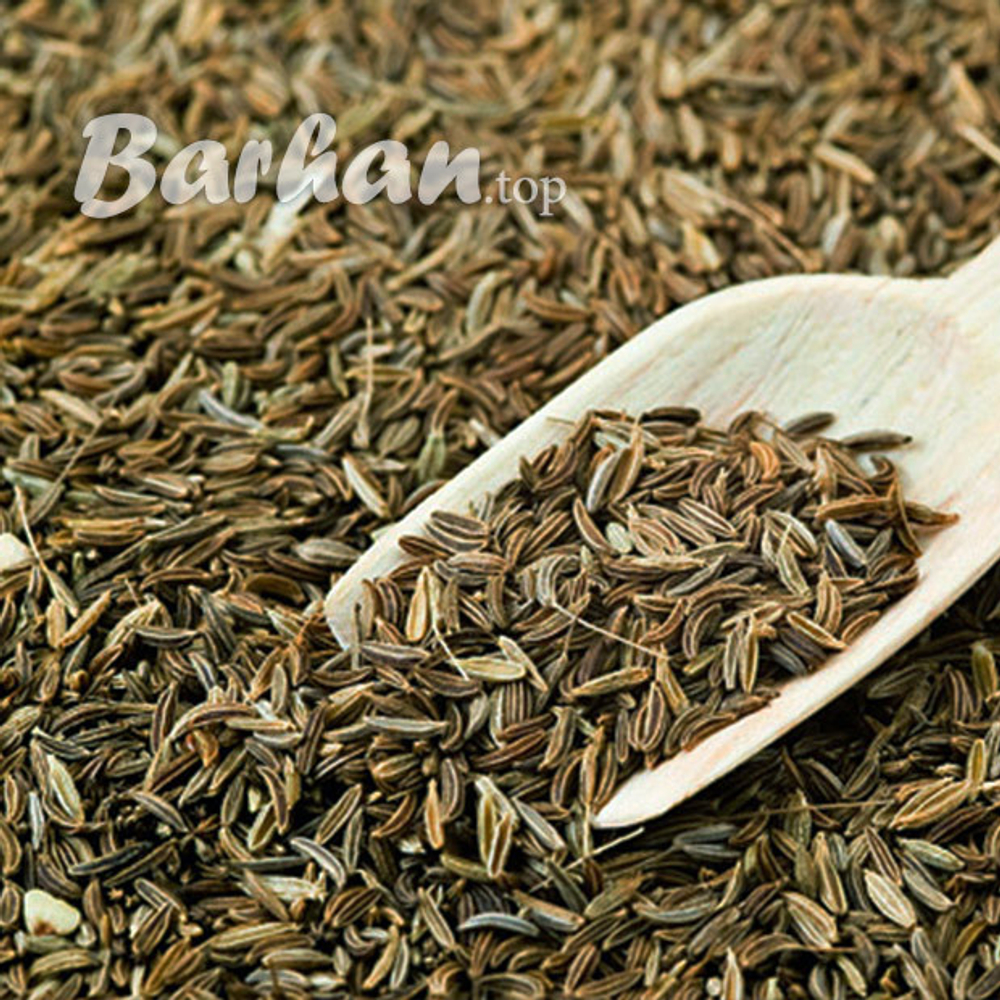 Зира таджикская купить