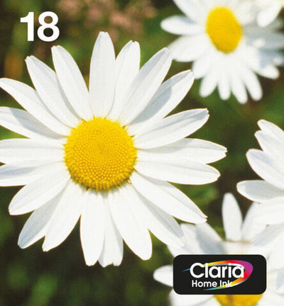 Картридж струйный Multi pack Epson C13T18064511