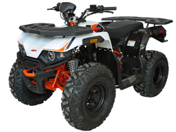 Квадрицикл KAYO AU180 (белый пластик 2024 г.) (ПТС)