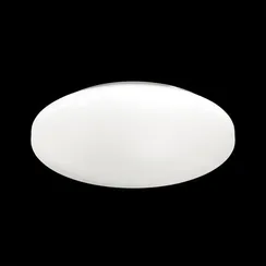 3017/CL PALE SN 218 Светильник пластик/белый LED 30Вт 4000K D350 IP43 SIMPLE