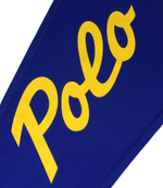 Спортивные штаны POLO RALPH LAUREN - голубой(919831)