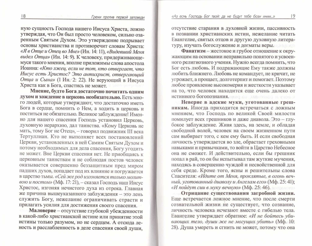 Исповедаю грех, батюшка. Наиболее полный анализ грехов и пути борьбы с ними