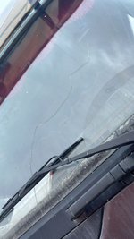 Shacman (Shaanxi) SX* 8x4 Самосвал SX33186V366 (Дизельный, 11,6 л, 423 л.с., МТ)